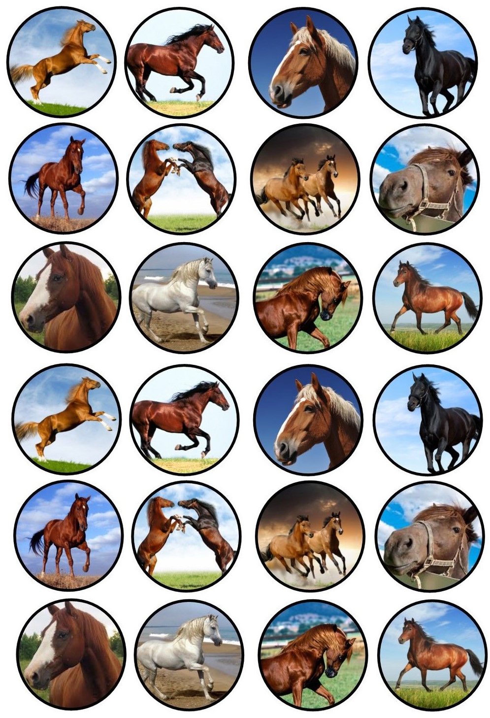 cavallo_04