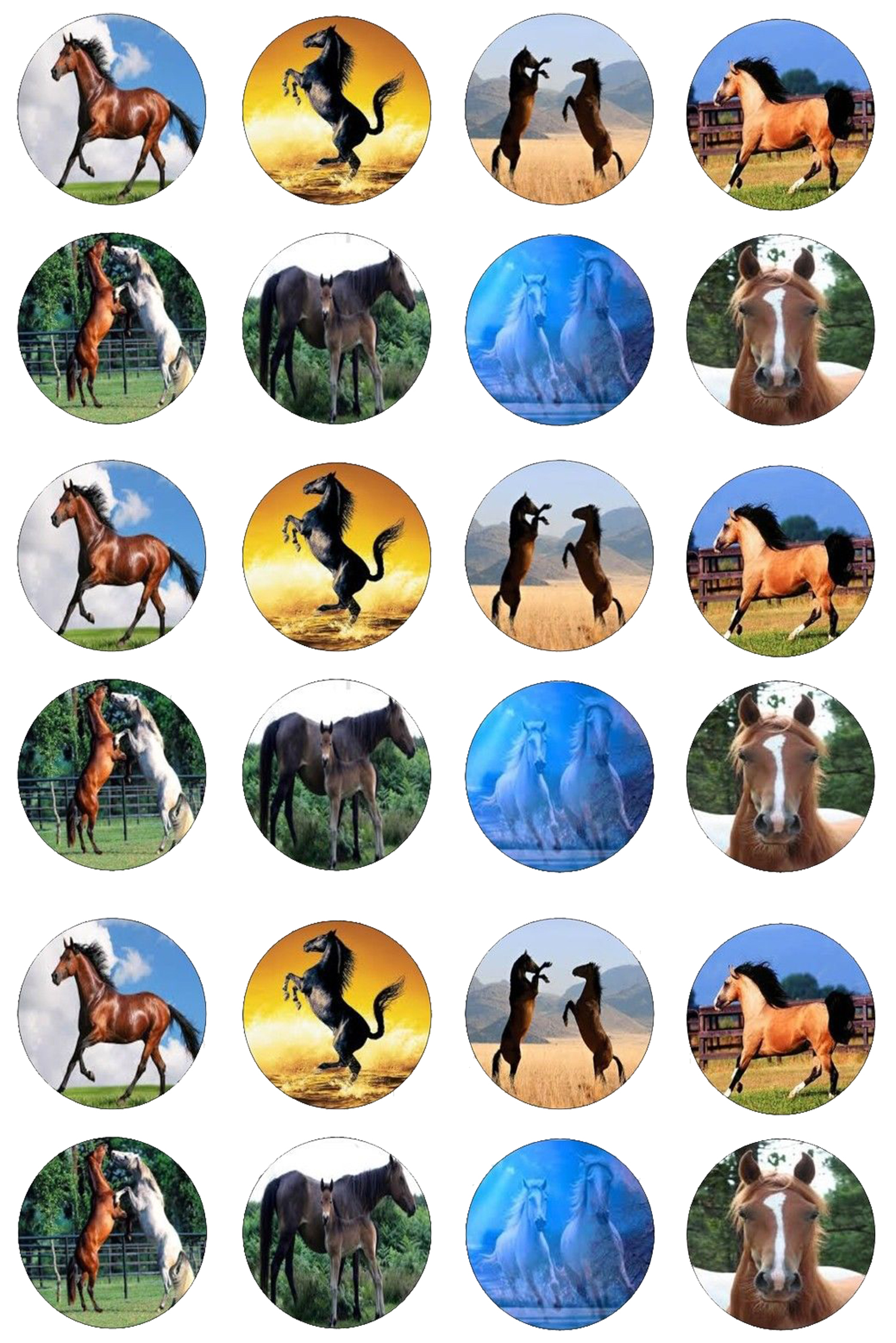 cavallo_05